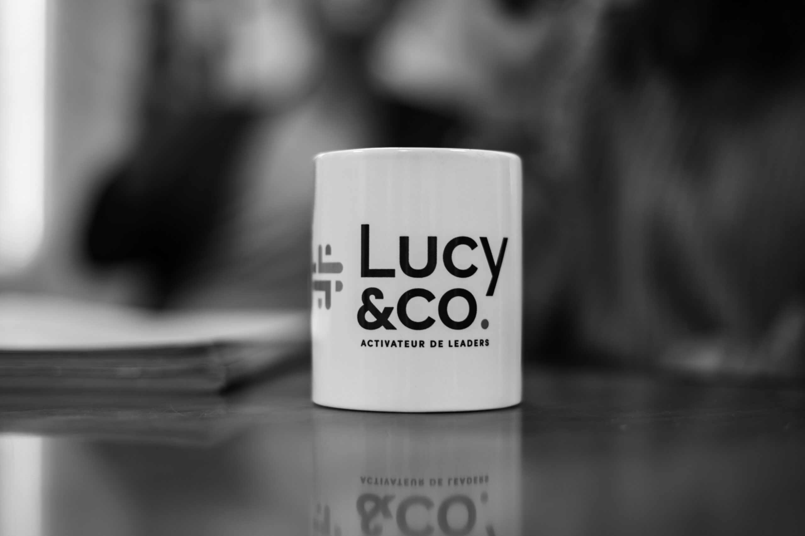 Lucy&Co., recrutement et de conseil RH Angers